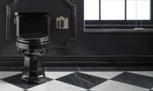 black toilet